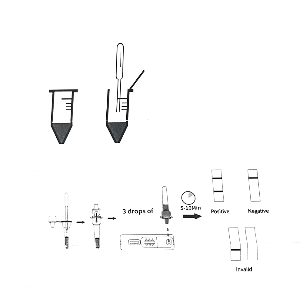 1set/5set Kit professionale pe - Urine Analyzer Strip recensione e prezzo
