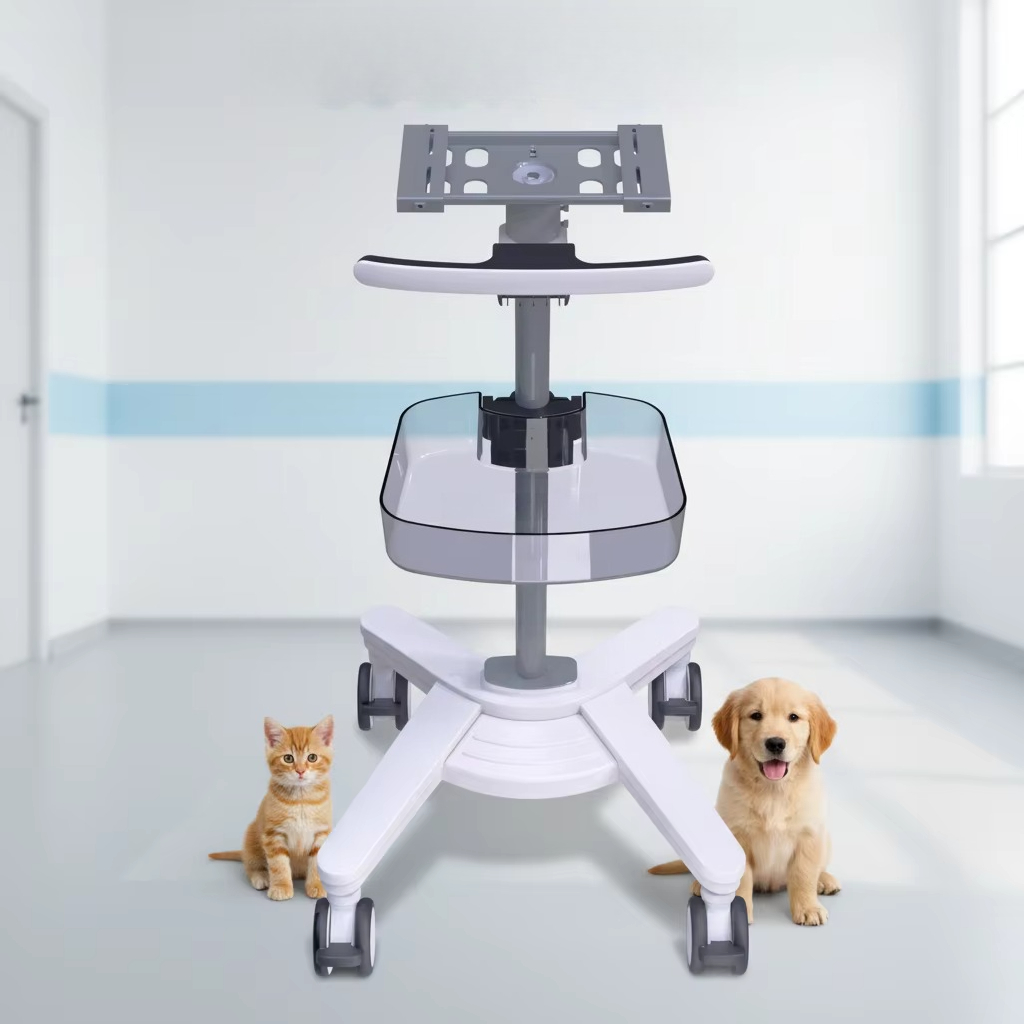 Attrezzatura Veterinaria EX-19 - Medical Lab Furniture recensione e prezzo